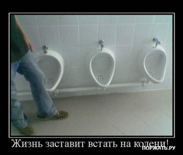 Демы (26 фото)