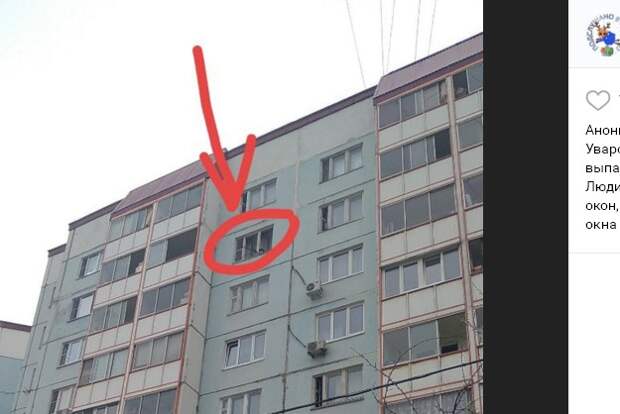 В Уваровском переулке собака едва не выпала из окна