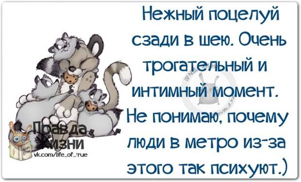 Позитивные фразочки в картинках Позитивные фразочки в картинках