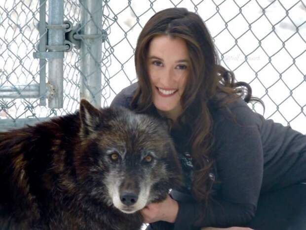 7 Years Ago I Was Raped & Diagnosed With PTSD. 6 Years Ago I Started Working With Wolves As A Form Of Therapy. Today I Run A Wolf Sanctuary And Have Healed More Than I Ever Imagined Possible