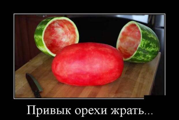 Демотиваторы (30 фото)