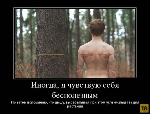Подборка демотиваторов 30. 10. 2014 (32 фото)