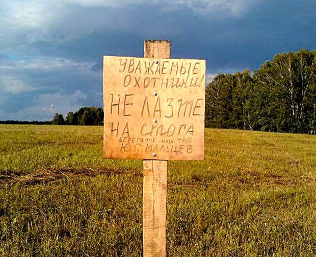 Прикольные картинки Прикольные картинки