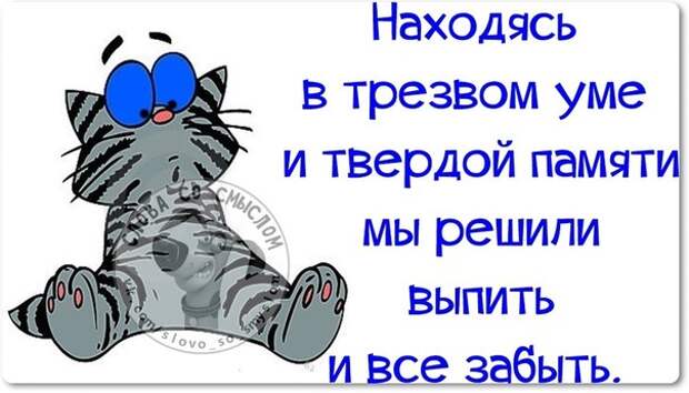 Мы решили выпить и все забыть