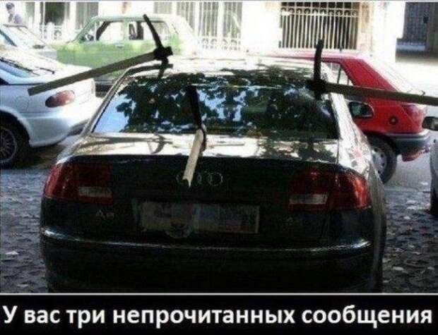 Прикольные картинки