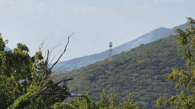 Площадь лесного возгорания под Геленджиком достигла 39 га