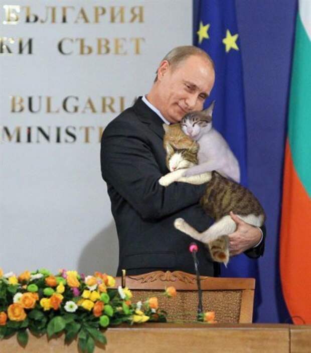 Путин с кошками (423x480, 37Kb)