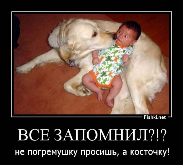 Демотиваторы демотиваторы