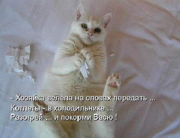 600x720-ebeeaebfd57aa6c4b846a8095692e088_103348 (600x462, 122Kb)