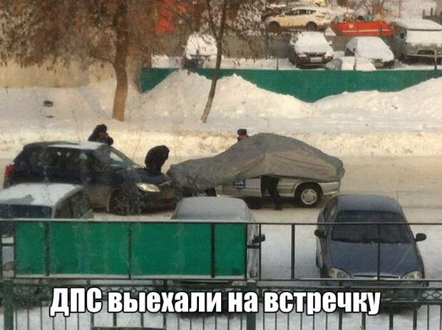 Прикольные картинки прикол, юмор