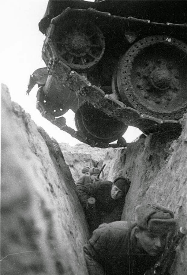 Главные фотографии Главные фотографии