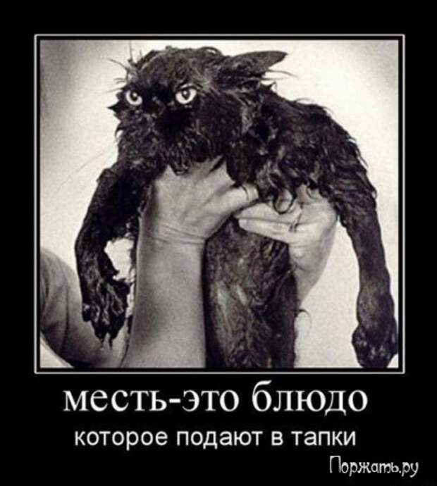 Димативаторы (21 фото)