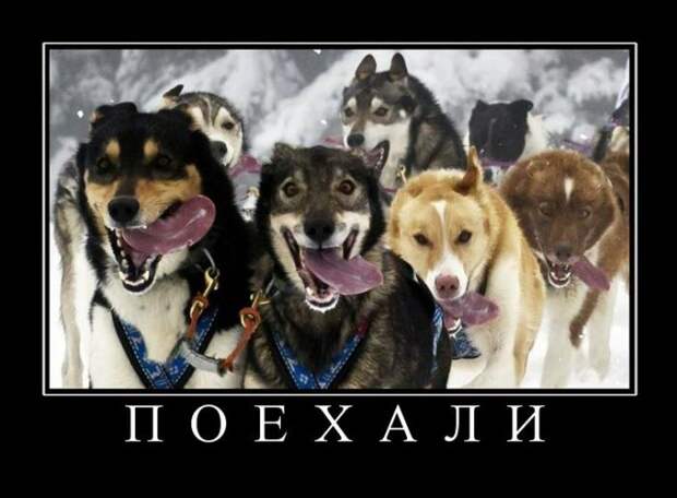 Демотиваторы Демотиваторы