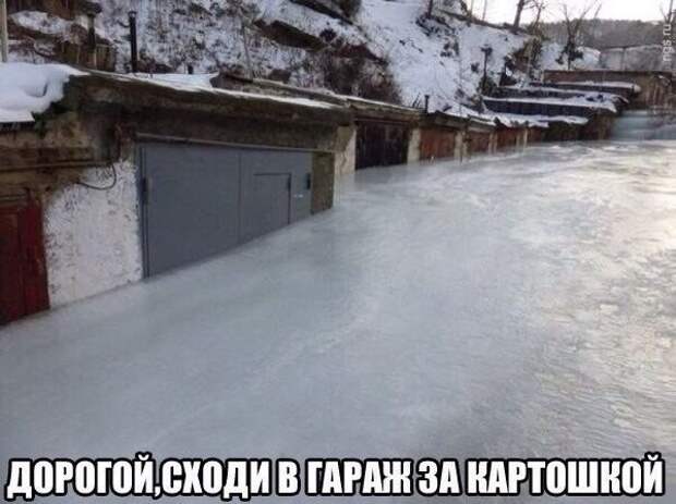 Смешные картинки с надписями прикол, юмор