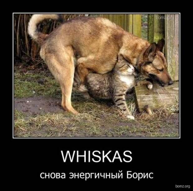Прикольные новые демотиваторы.