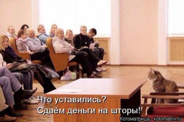 Котоматрица недели (31 фото)