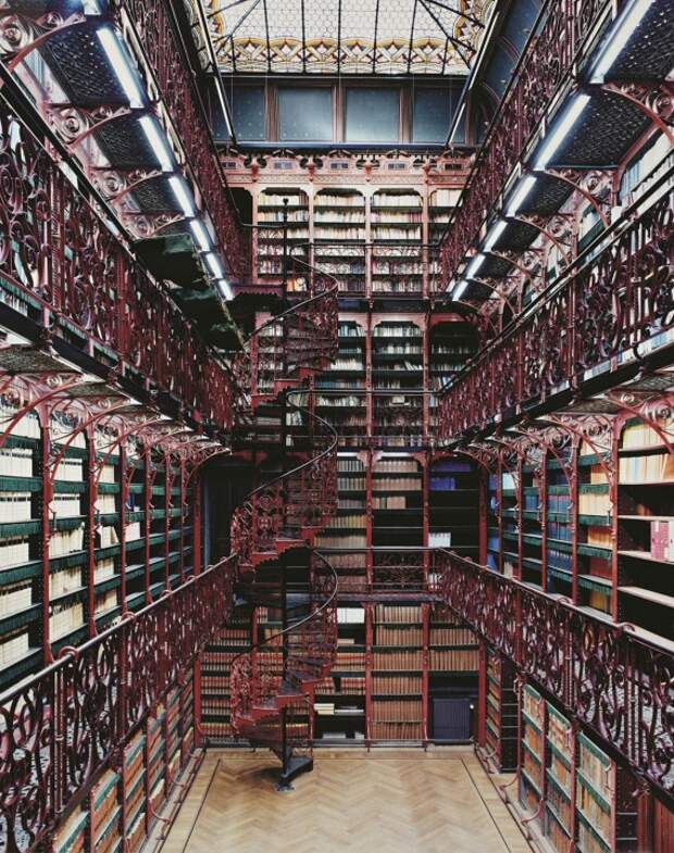 magnifique-bibliotheque-9