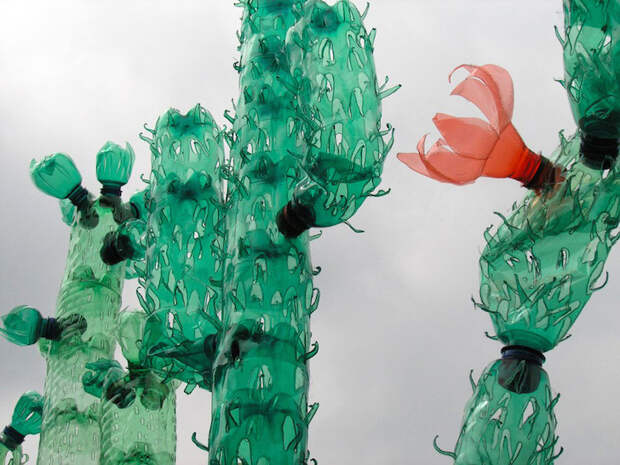 Дизайнер превращает пластиковые бутылки в удивительные скульптуры растений и животных