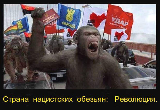 Зверь по имени «Украина»: «неестественный отбор» Зверь по имени «Украина»: «неестественный отбор»