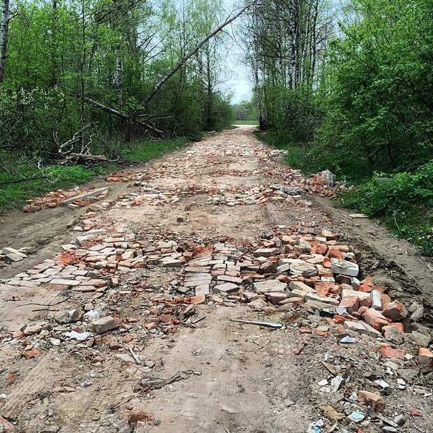 Дороги действительно могут быть плохими (20 фото)