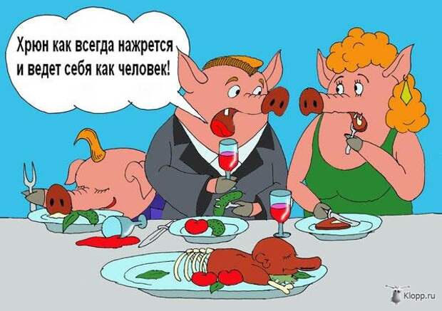 Зарекалась свинья. Смешные шутки про свиней. Свинья карикатура. Анекдоты про свиней и поросят. Анекдот про свинью.