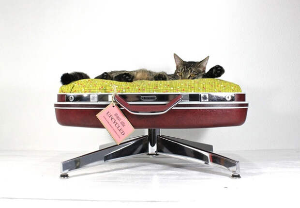 4 Подушка для кошек, неравнодушных к чемоданам.