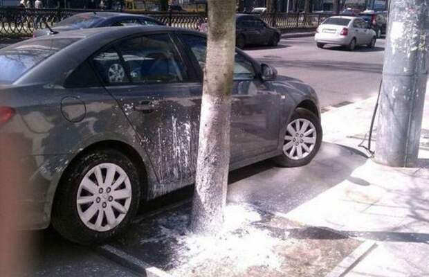 Умом Россию не понять XV умом россию не понять, угадай страну, удивительная страна