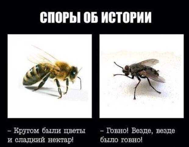 Весёлые фотомемы. Позитивная подборка Весёлые фотомемы. Позитивная подборка