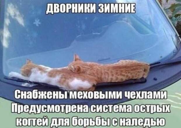 Смешная галерея фотоприколов # 58