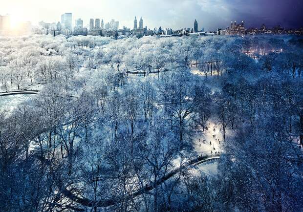 Центральный парк Нью-Йорка зимой, США.