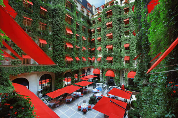 Внутренний дворик-ресторан отеля Plaza Athénée природа, удивительное, фото