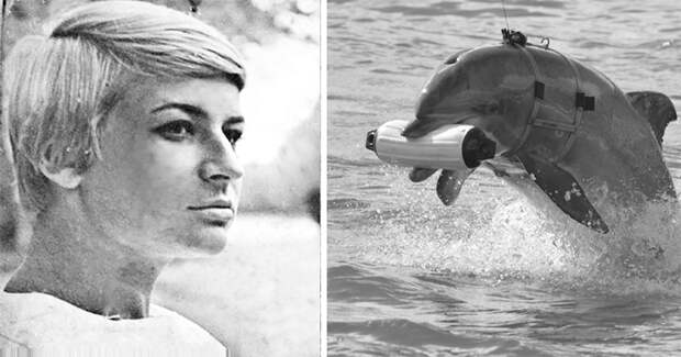 Галина Шурепова — «мать» советских боевых дельфинов