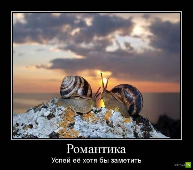 Демотиваторы (29 фото) Демотиваторы (29 фото)