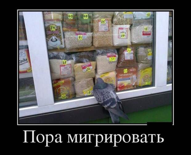 Демотиваторы (30 фото)