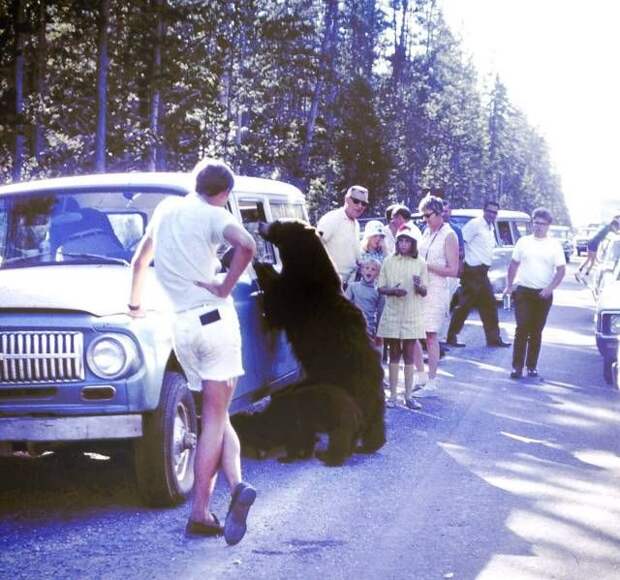 Прикольные картинки (102 фото)