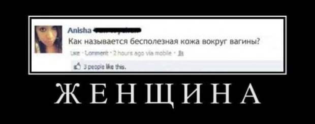 Новый сборник демотиваторов (22 шт)
