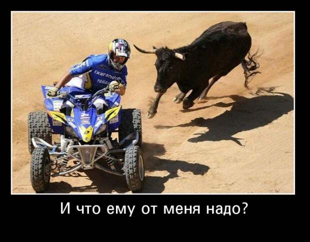 Демотиваторы №1093 (30 фото)