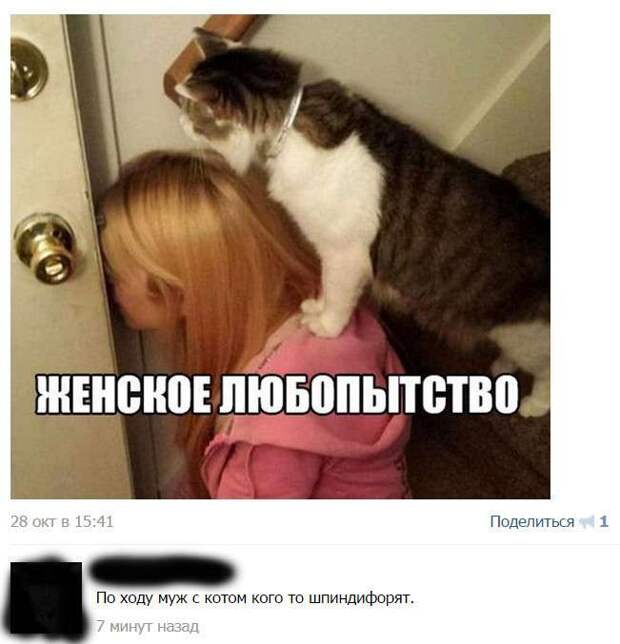 Смешные комментарии из социальных сетей