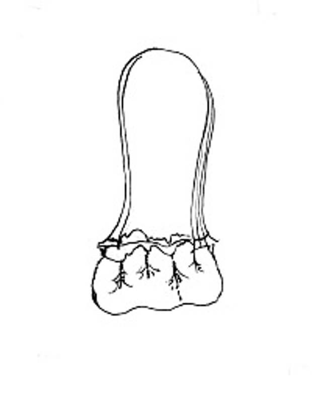 Cozette Bag