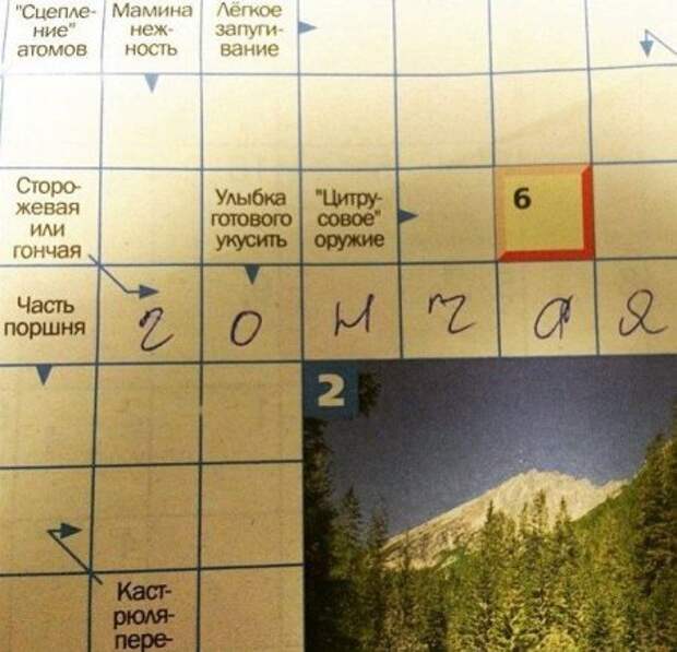 Картинки прикольные, нет причин не посмотреть.