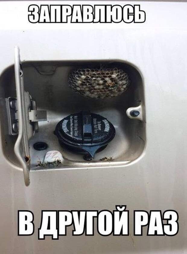 Очередная подборка автоприколов автоприколы, приколы