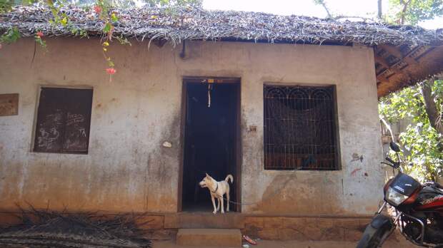 Индия. Вокруг общества