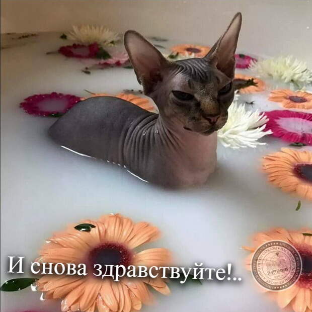 И снова здравствуйте