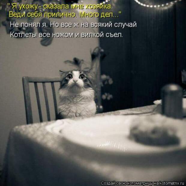 Котоматрицы (картинки с надписями)