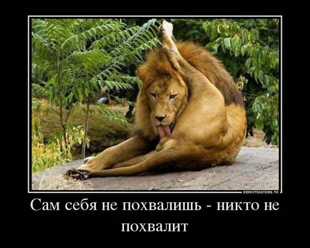 Демотиваторы демотиваторы