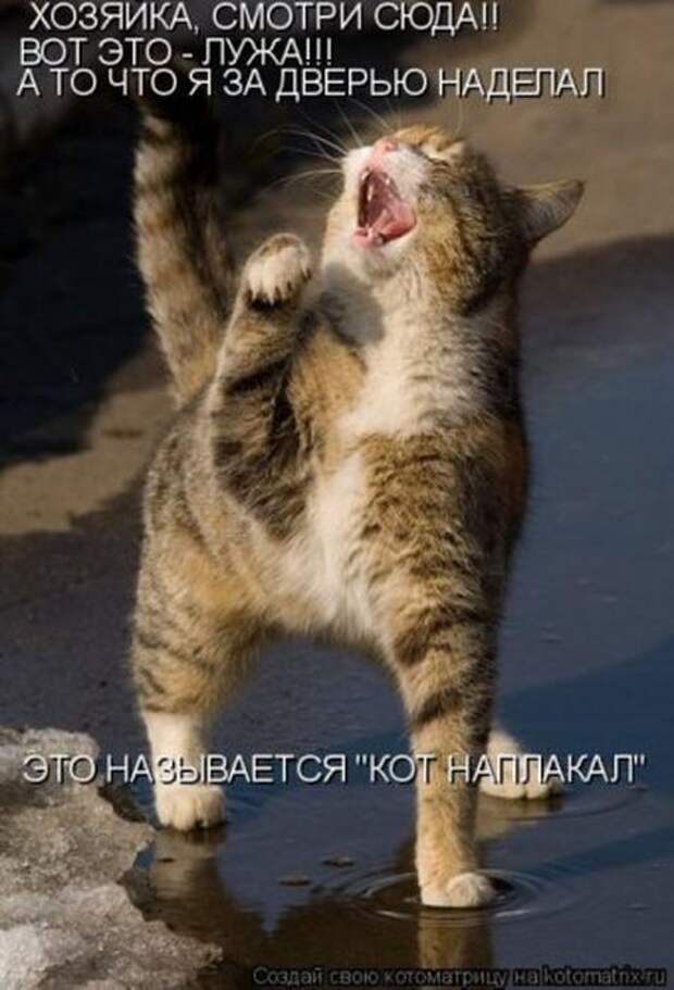 Мысли вслух :)