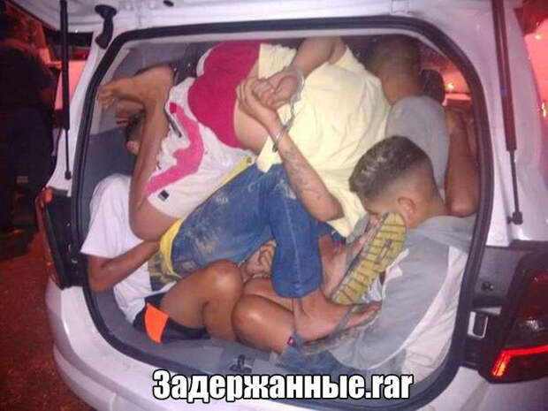 Прикольные картинки картинки, фото, юмор