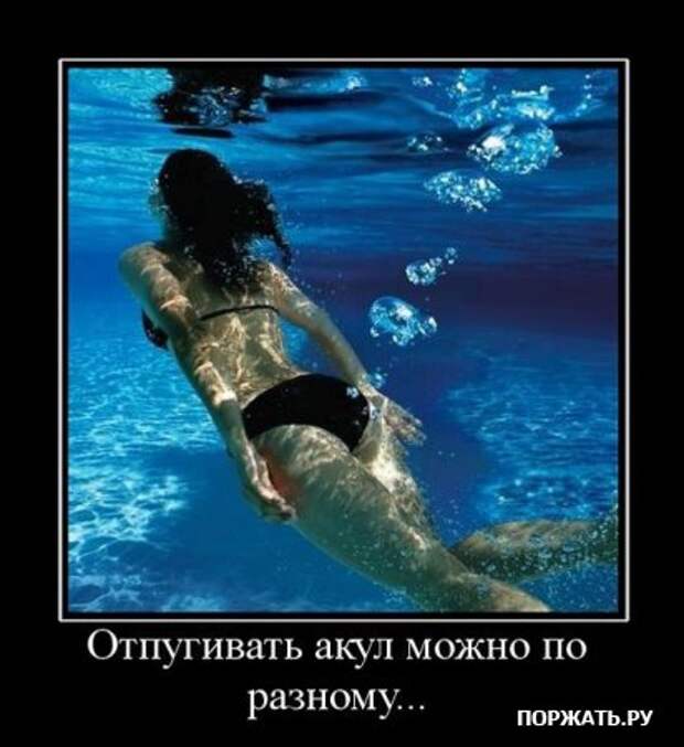 Демы (26 фото)