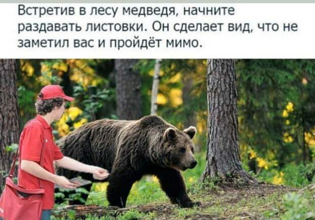 Лайфхак Лайфхак