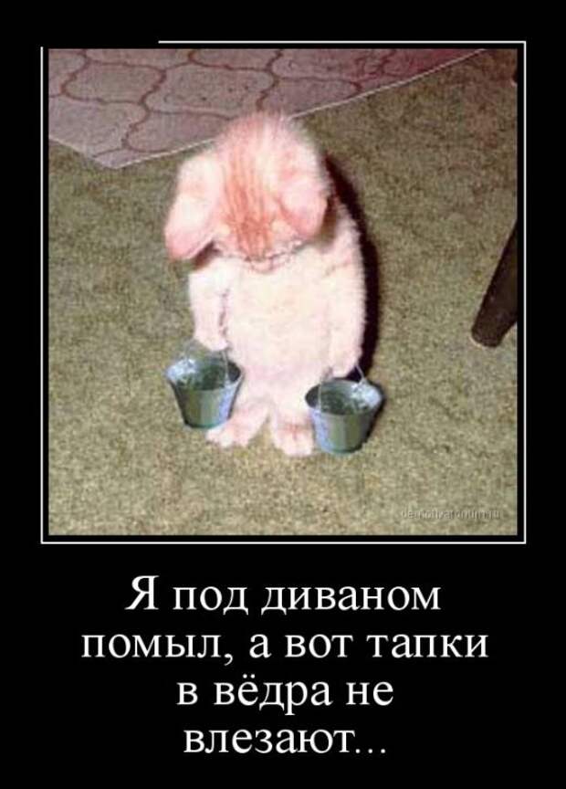 Демотиваторы (30 фото) Демотиваторы (30 фото)